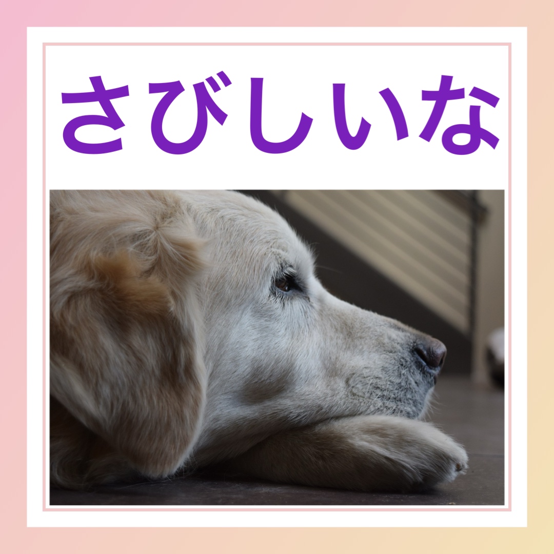 さびしいな　英語