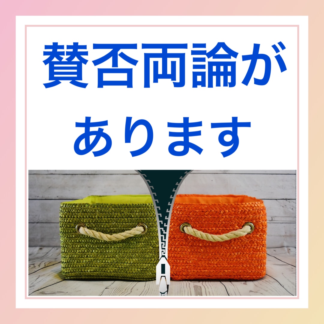 賛美両論があります　英語